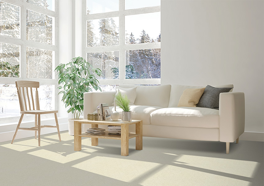 beige carpet in living room